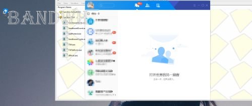 使用sandboxie调教TIM