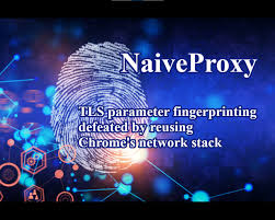 搭建安装NaiveProxy科学上网梯子