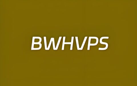 瓦工增加自定义的IPV6地址